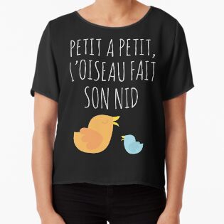 French Saying Petit A Petit Loiseau Fait Son Nid Quote By