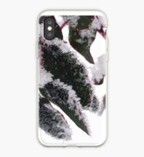 Eucalyptus iPhone-Hülle & Cover
