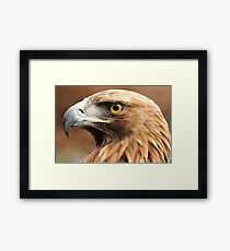 Boris Framed Print