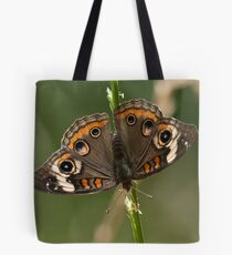 Lepidoptera Tote Bag