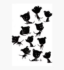 Moro Photographic Print