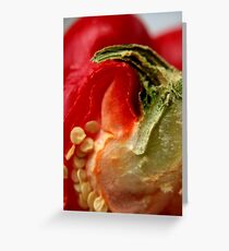 Capsicum Greeting Card