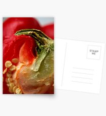 Capsicum Postcards