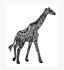 Printed Giraffe Photographic Print
