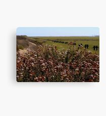 So Quiet, So Very Quiet.. Canvas Print