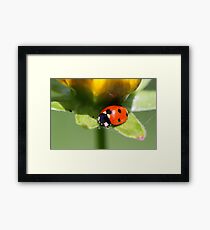 Living on the Edge Framed Print
