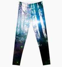 Forest Trees Magical Path Leuchtkäfer - Olympischer Nationalpark Hoh Rainforest Leggings