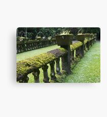 Paronella Park, Far North Queensland Canvas Print