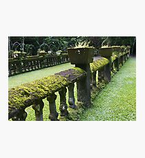 Paronella Park, Far North Queensland Photographic Print