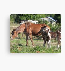 Staying right with Mom Canvas Print