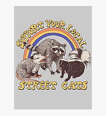 Street Cats Photographic Print