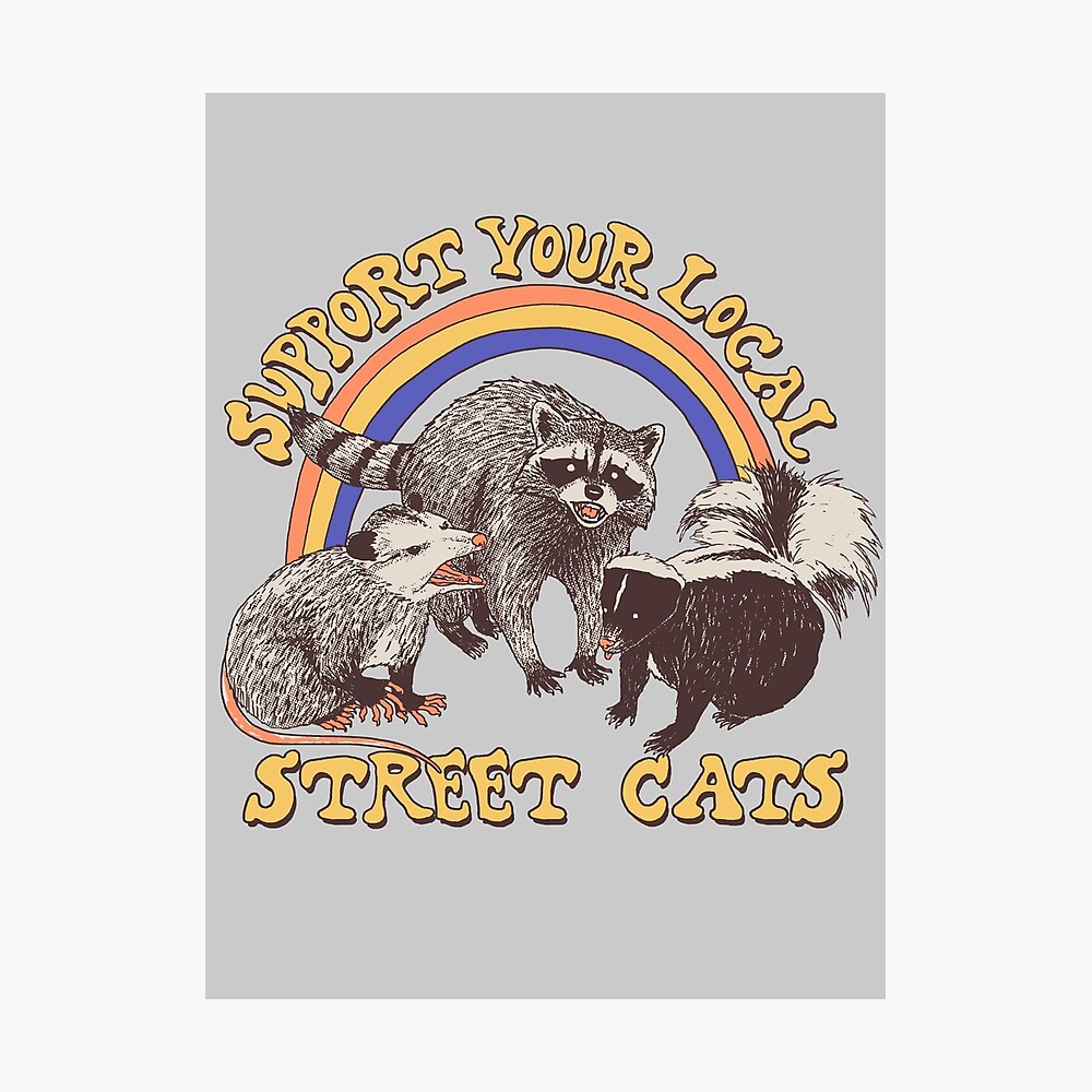 Street Cats Photographic Print