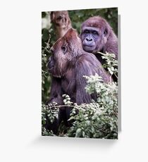 gorilla love Greeting Card