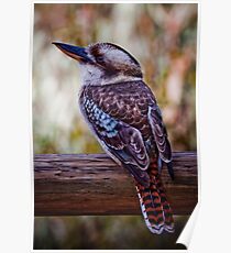 Fence Sitter Poster