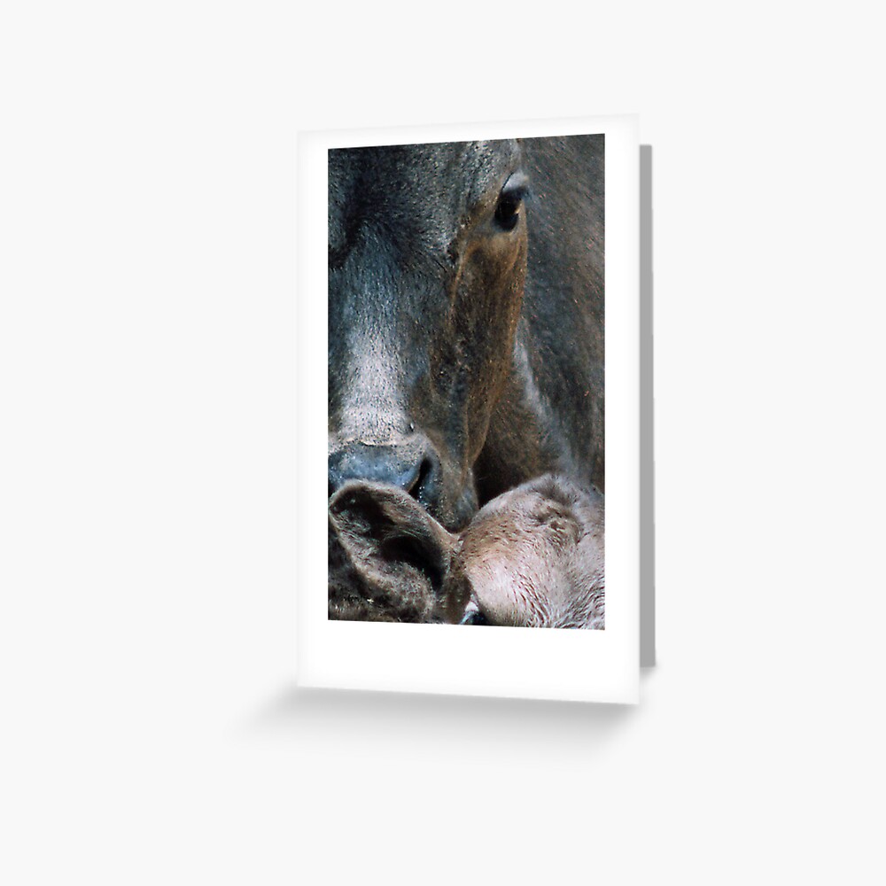 "Maternal - Two Eyes" Greeting Card