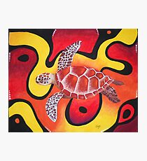 Red Turtle Teddie Photographic Print