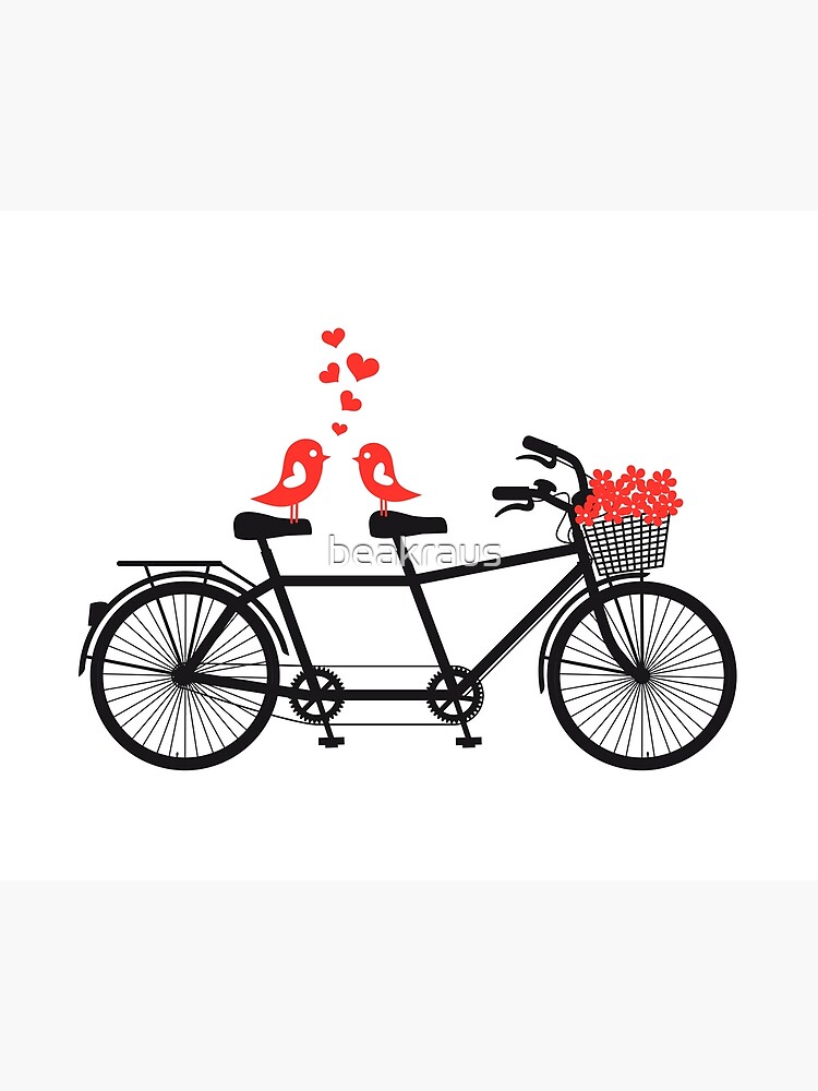 tandem bicycle with cute love birds by beakraus