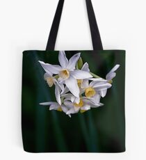 Virburnum Carlesii,Botanical Garden,Melbourne Tote Bag