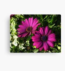 Purple Flowers Canvas Print