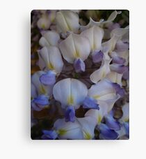 wall flowers Canvas Print
