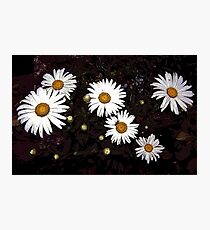 Floral Photographic Print