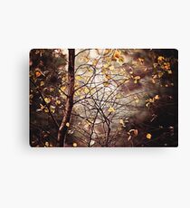 Last days of Autumn Canvas Print