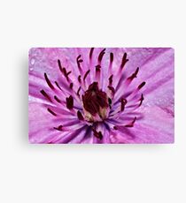 Pink flower Canvas Print