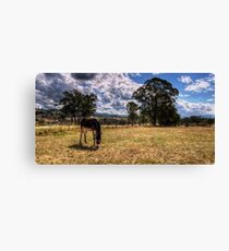 A lone Ass Canvas Print