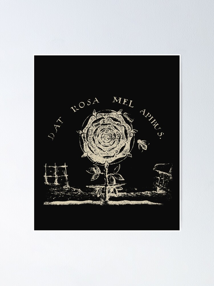 Rosicrucians case essay 02 picture