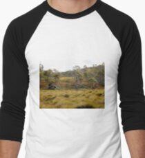 Button Grass and Alpine Coral Fern, Cradle Mountain, Tasmania,Australia. Men's Baseball ¾ T-Shirt