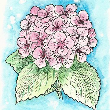 Artwork thumbnail, Hydrangea Flower by anniem49