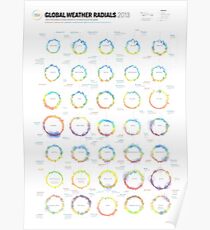 Infographic Weather Radials 2013 Poster