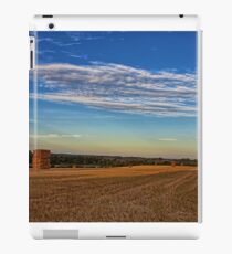 Hayscape - Winchester iPad Case/Skin