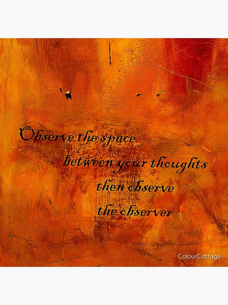 Observe by ColourCottage