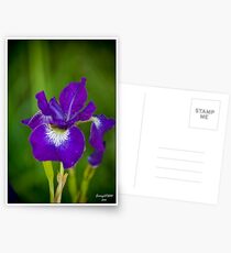 Botanic Garden Postcards