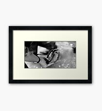 New Shoes...ready to ride. Framed Print