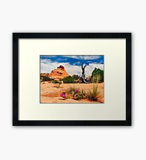 Escalante Framed Print