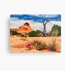 Escalante Metal Print