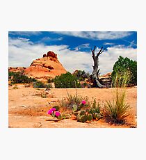 Escalante Photographic Print