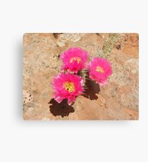 Escalante Cactus Metal Print