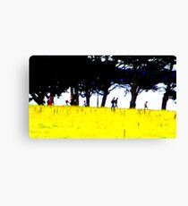 Regard de Breizh 6 Canvas Print