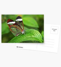 Greta Oto with Wings of Glass Postcards