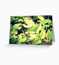 dewdrop Greeting Card