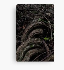 Twisted Canvas Print