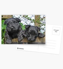 double cute Postcards