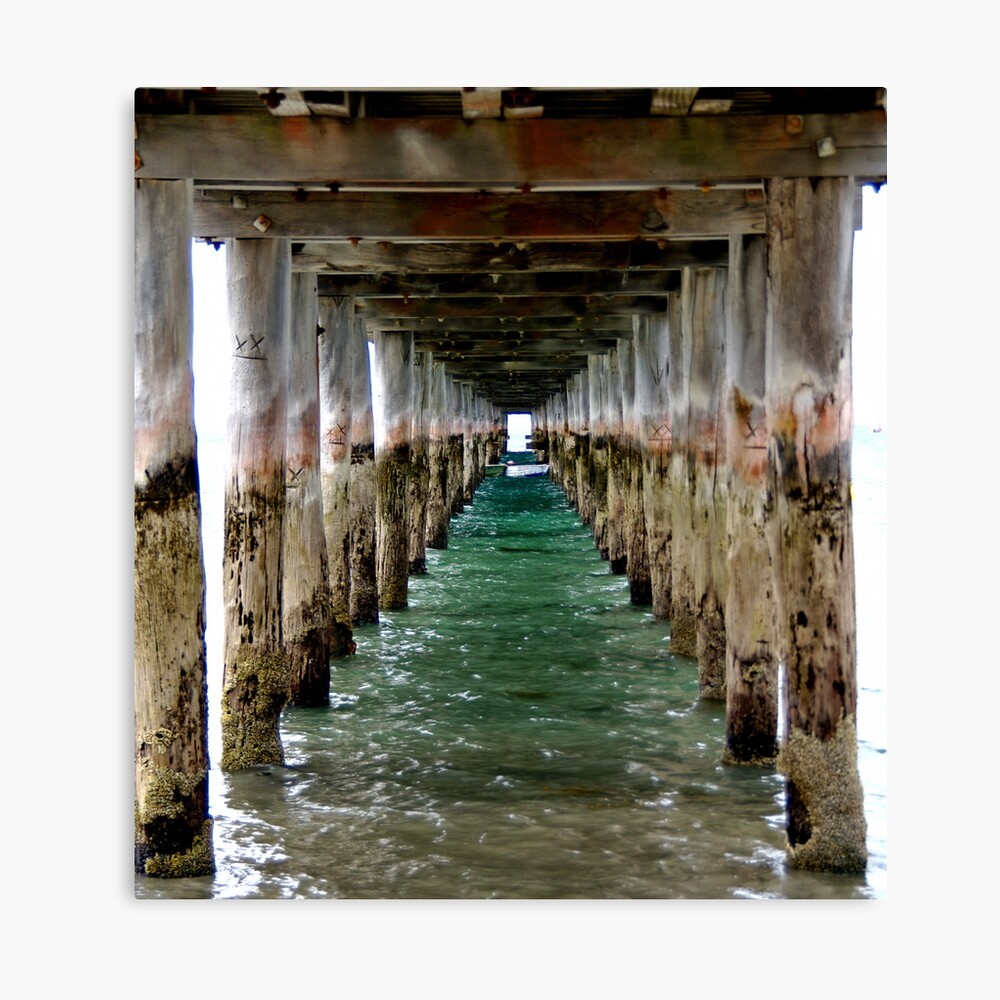 Under the Pier - Flinders, VIC Canvas Print