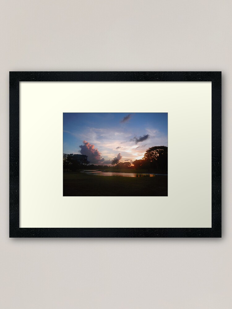 Alternate view of Amazing Pond in Mexico Framed Art Print