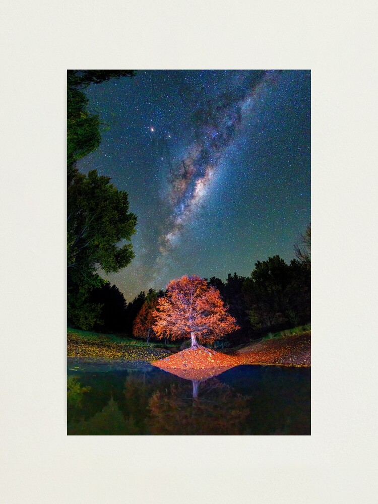 Alternate view of Night Skies over Balingup Photographic Print