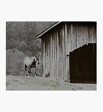 Trust Photographic Print