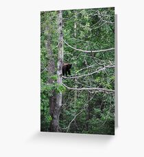 Looking Down Greeting Card